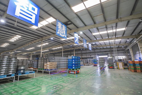 重慶 以智能化驅(qū)動轉(zhuǎn)型升級，汽車零配件批發(fā)行業(yè)質(zhì)效雙提升